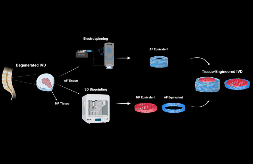 electrospinning and 3D bioprinting