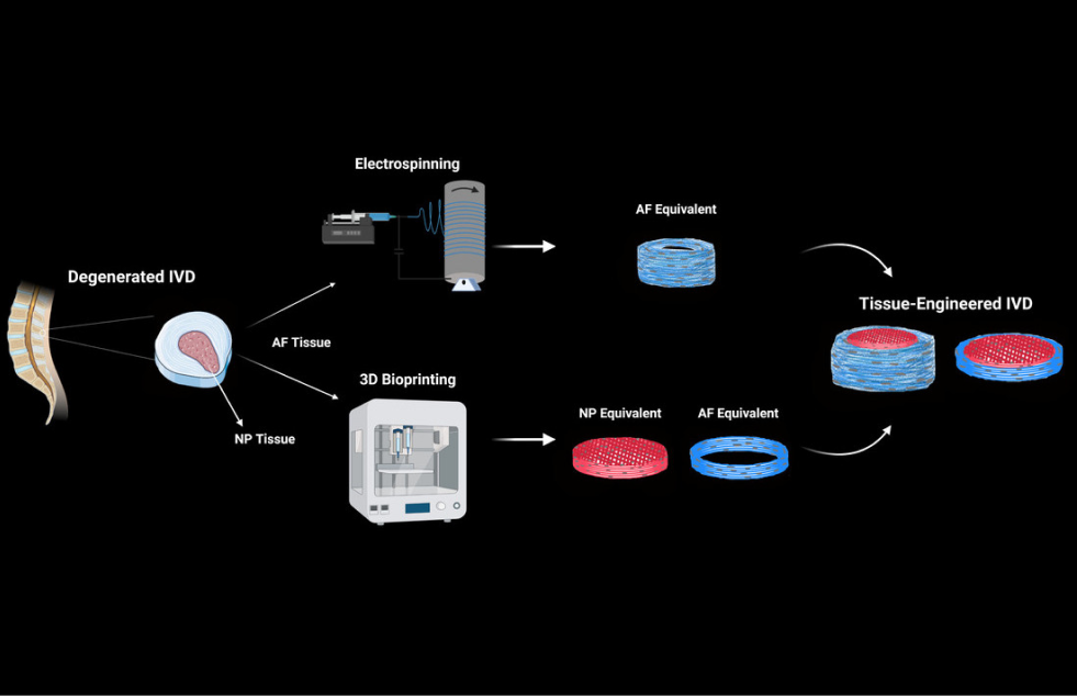 electrospinning and 3D bioprinting.