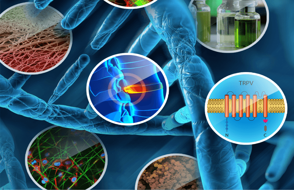 graphic of D N A strand with inset images of bacteria.
