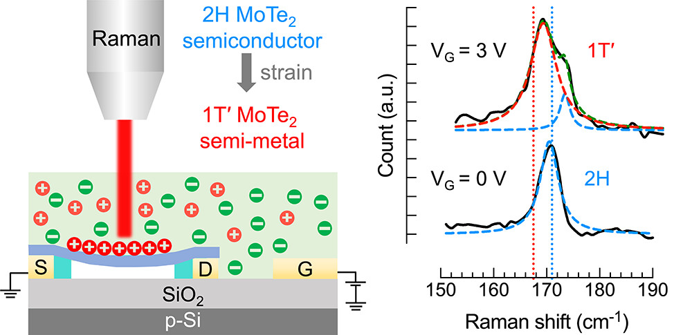 Scientific graphic showing Raman microscopy and a strain-induced phase transition in 2H MoTe2.