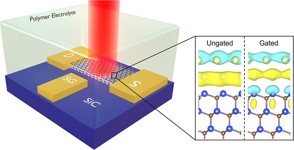 Scientific illustration of an electric-double-layer-gated transistor with gated and ungated material diagrams.